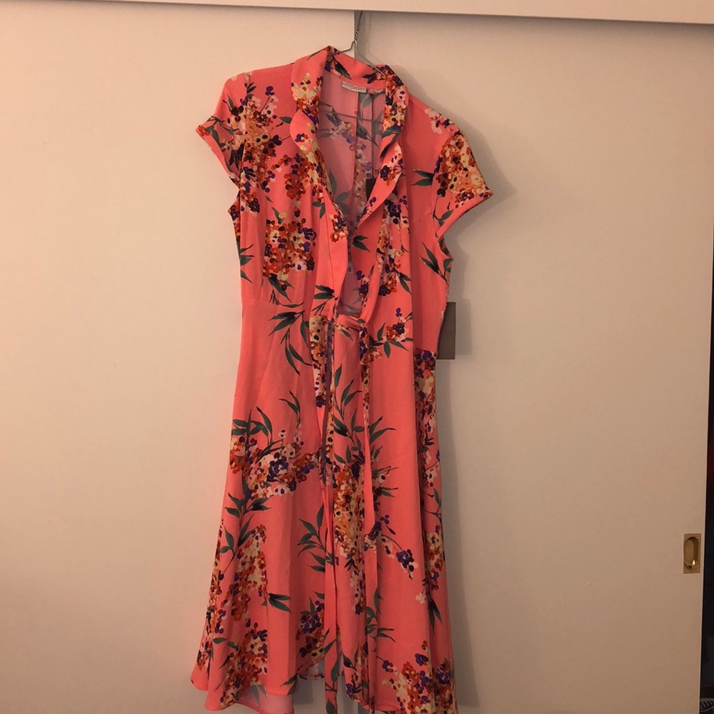 Floral Eva Mendez wrap around dress